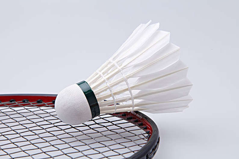 陈幸同的逆 陈幸同的逆